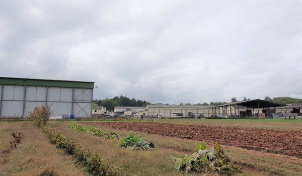 Panneaux photovoltaïques en autoconsommation du site Cooplim.